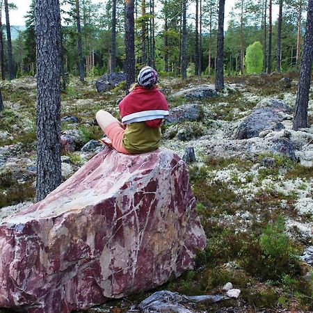 16 - Fulufjellets Nasjonalparker - Natur-, Dyre- Og Fugleopplevelser Ljørdal Εξωτερικό φωτογραφία
