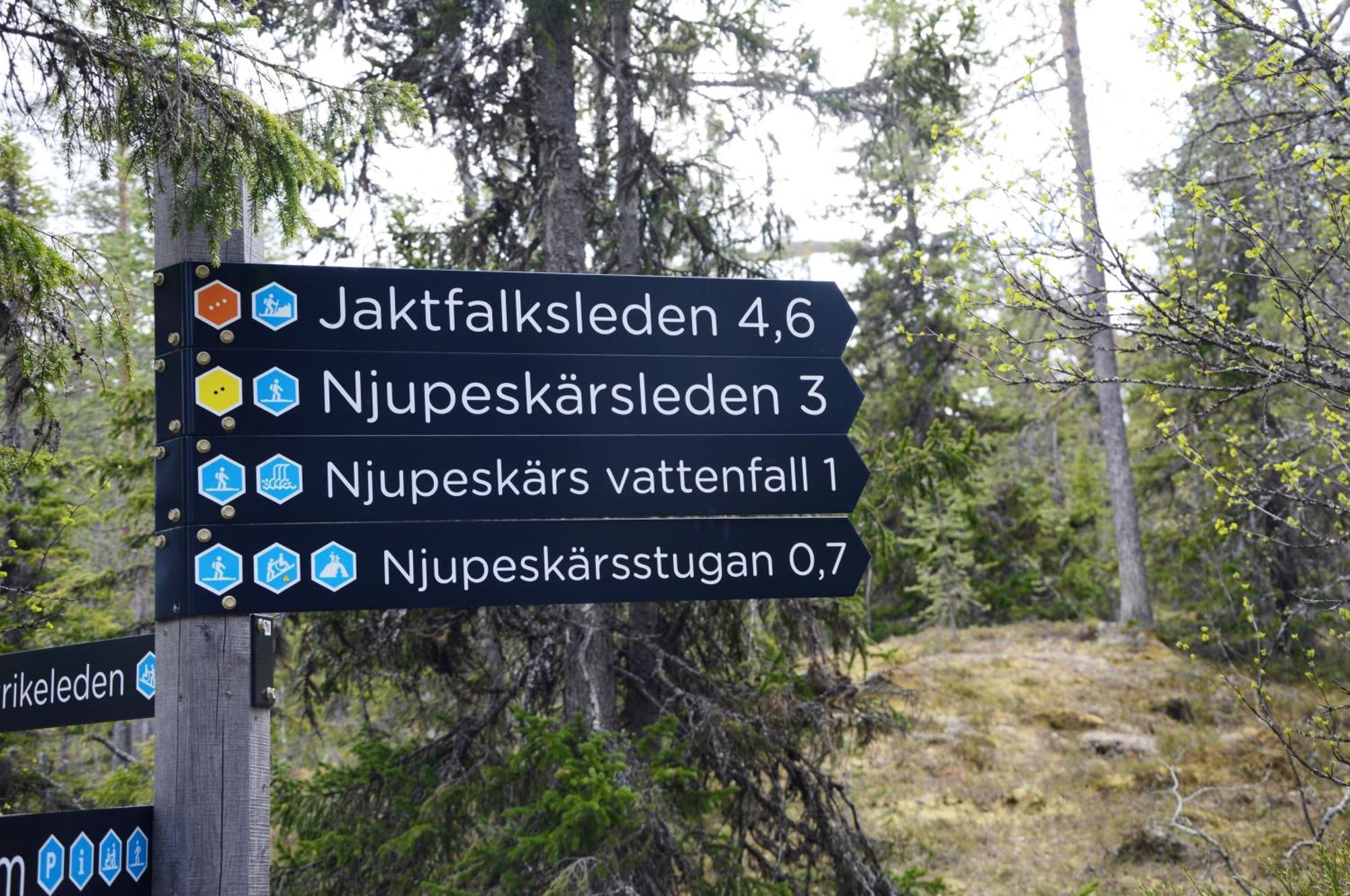 16 - Fulufjellets Nasjonalparker - Natur-, Dyre- Og Fugleopplevelser Ljørdal Εξωτερικό φωτογραφία