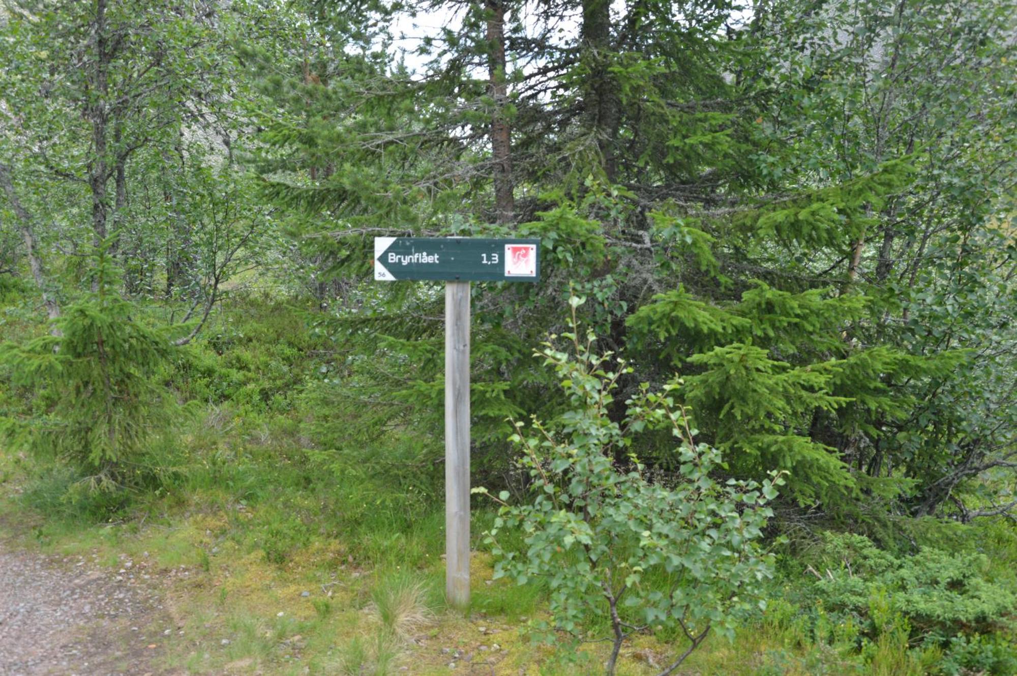 16 - Fulufjellets Nasjonalparker - Natur-, Dyre- Og Fugleopplevelser Ljørdal Εξωτερικό φωτογραφία