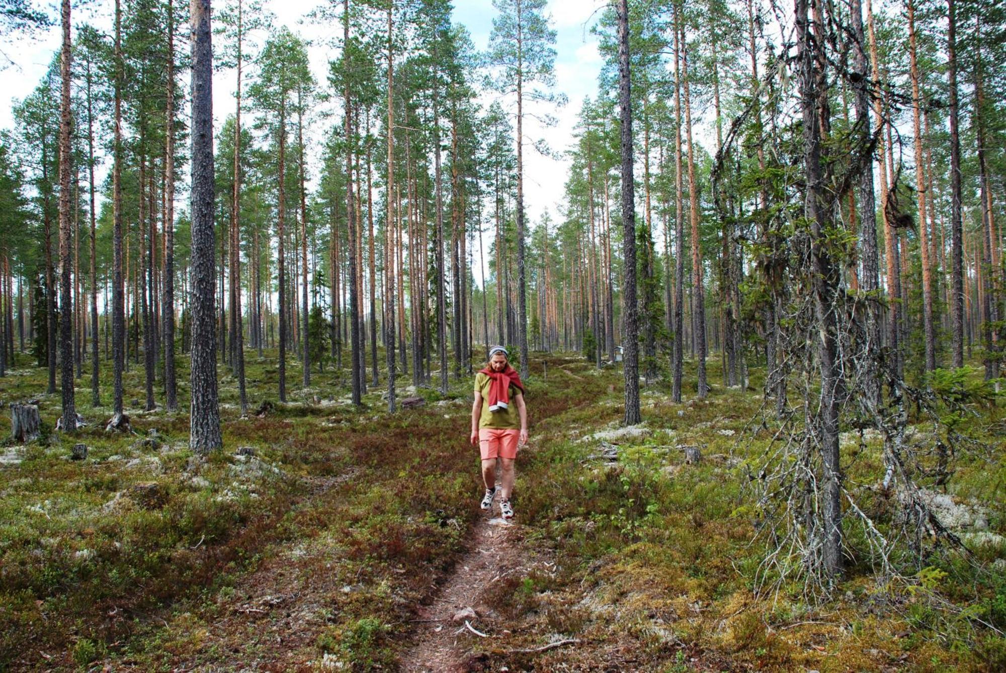 16 - Fulufjellets Nasjonalparker - Natur-, Dyre- Og Fugleopplevelser Ljørdal Εξωτερικό φωτογραφία