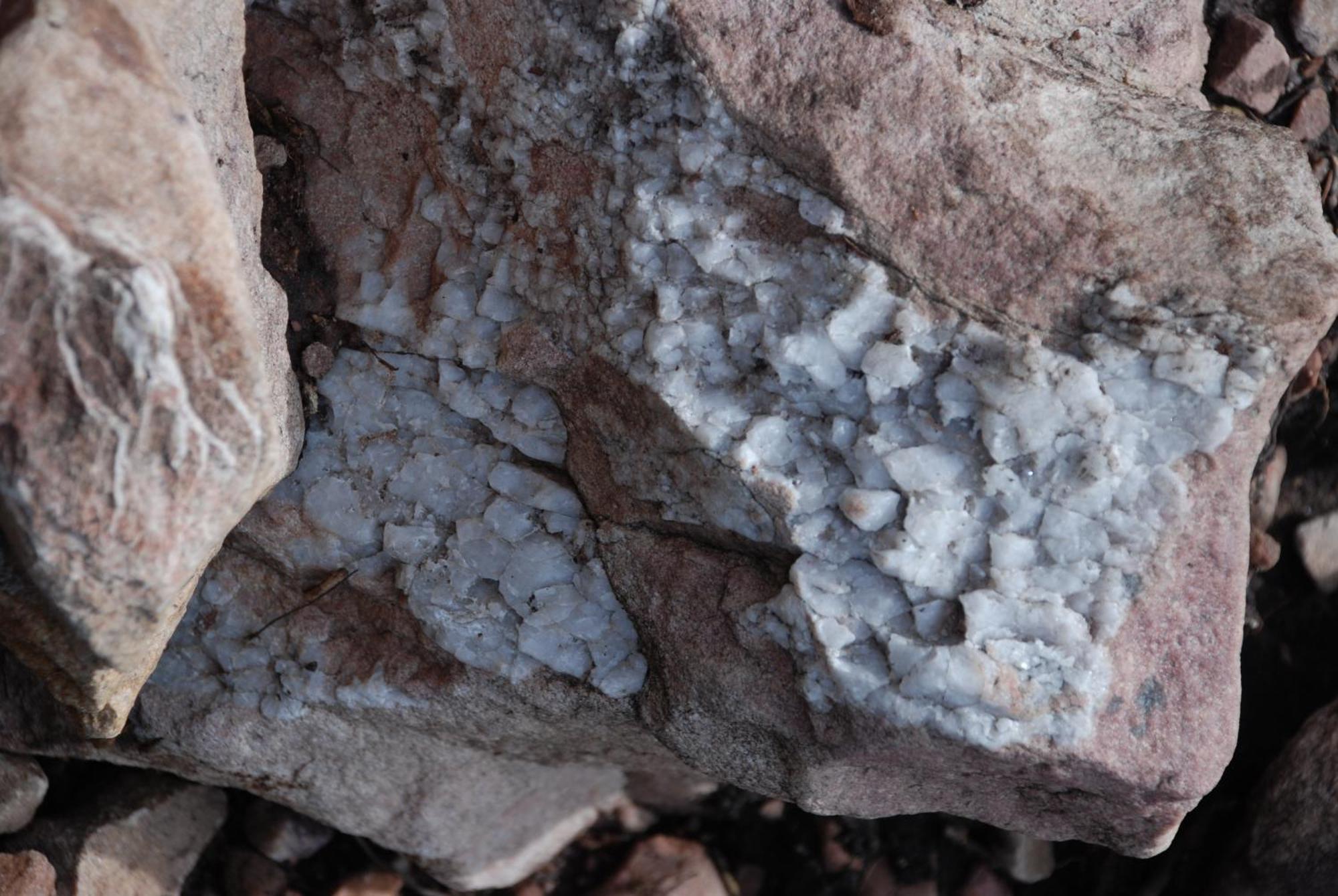 16 - Fulufjellets Nasjonalparker - Natur-, Dyre- Og Fugleopplevelser Ljørdal Εξωτερικό φωτογραφία