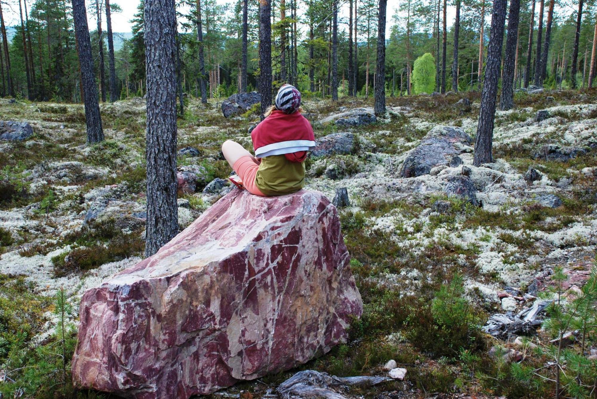 16 - Fulufjellets Nasjonalparker - Natur-, Dyre- Og Fugleopplevelser Ljørdal Εξωτερικό φωτογραφία